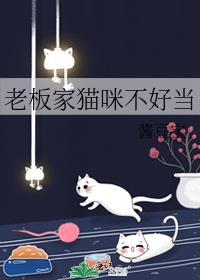 老板家猫咪不好当