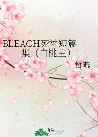 死神bleach 小说
