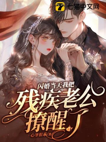 闪婚嫁给残疾大叔全文