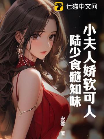 陆少夫人又