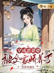 穿成恶婆婆小说