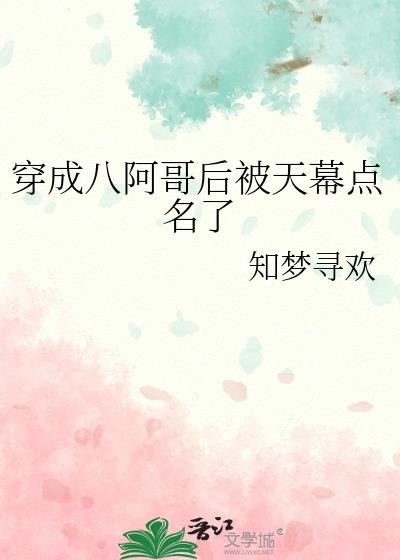 清穿成八阿哥的小说