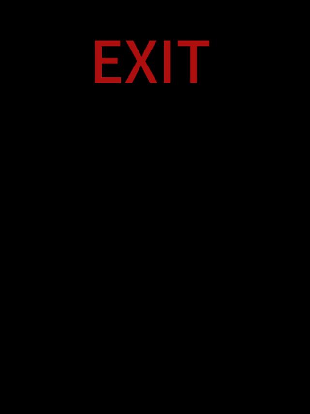 exit(0)