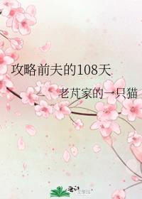 攻略前夫的108天