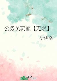 公务员玩家【无限】